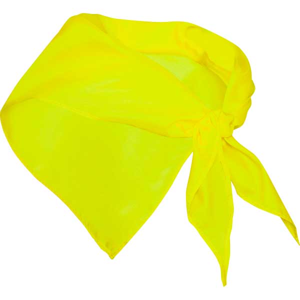 Pañoleta triangular - Imagen 4