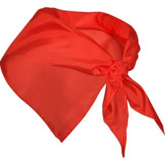 Pañoleta triangular