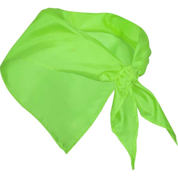 Pañoleta triangular - Imagen 17